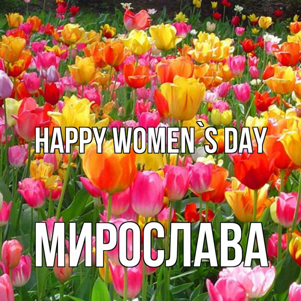 Greetings card с именем, Мирослава happy women`s day на международный женский день Greetings with text for free download 